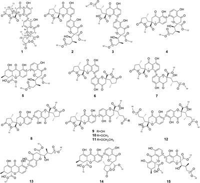 Paecilins F–P, new dimeric chromanones isolated from the endophytic fungus Xylaria curta E10, and structural revision of paecilin A